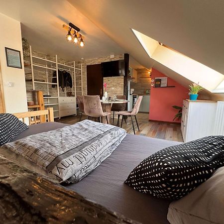 Private & Comfortable Apartments Puttelange-aux-Lacs Εξωτερικό φωτογραφία